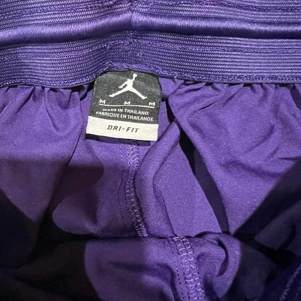 Y2K Nike Air Jordan Franklin Street Basketball Shorts Men's sz M Purple 508111